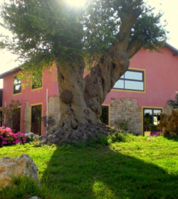 Agriturismo Il Ranch